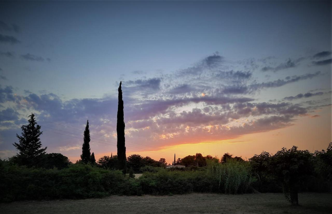 La Maison Du Chemin Des Prairies Morieres-les-Avignon Eksteriør billede